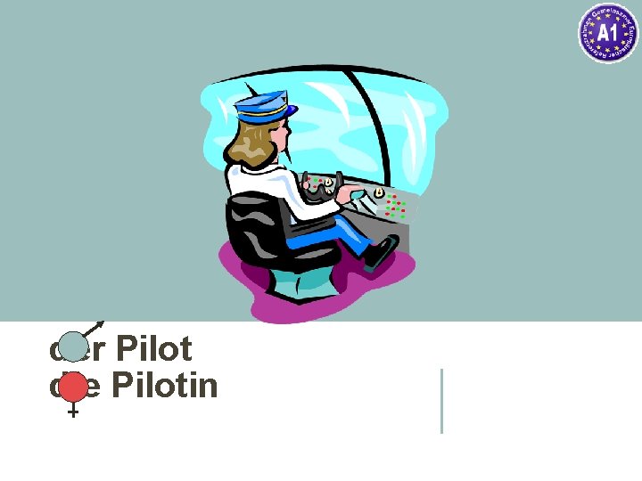 der Pilot die Pilotin 