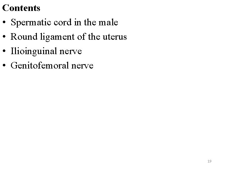 Contents • Spermatic cord in the male • Round ligament of the uterus •