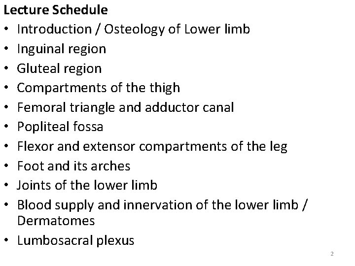 Lecture Schedule • Introduction / Osteology of Lower limb • Inguinal region • Gluteal