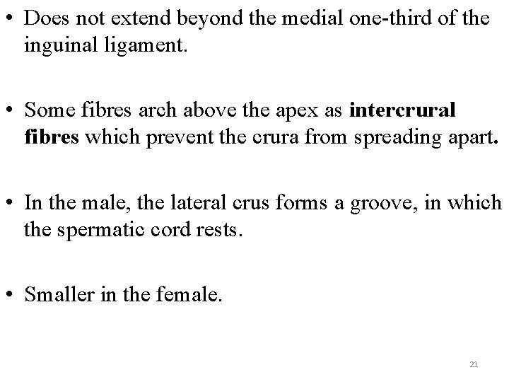  • Does not extend beyond the medial one-third of the inguinal ligament. •