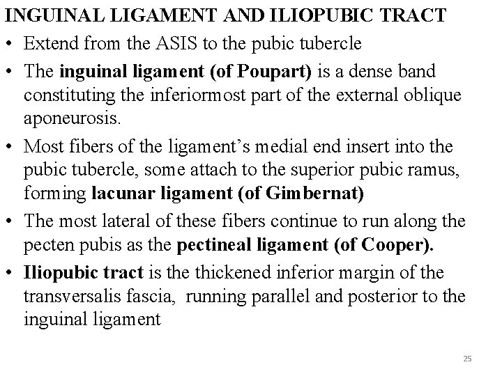 INGUINAL LIGAMENT AND ILIOPUBIC TRACT • Extend from the ASIS to the pubic tubercle