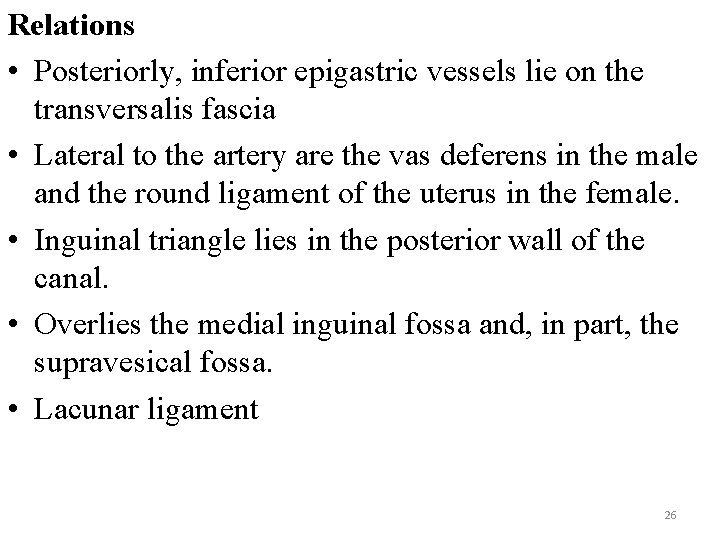 Relations • Posteriorly, inferior epigastric vessels lie on the transversalis fascia • Lateral to