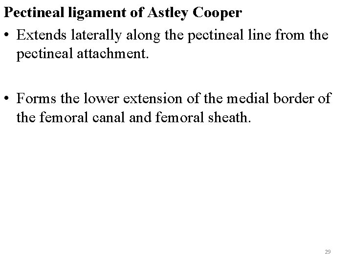 Pectineal ligament of Astley Cooper • Extends laterally along the pectineal line from the
