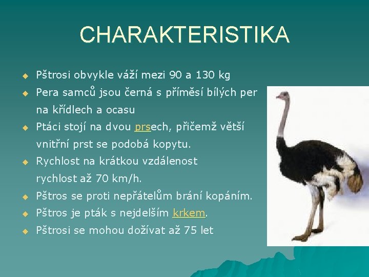 CHARAKTERISTIKA u Pštrosi obvykle váží mezi 90 a 130 kg u Pera samců jsou