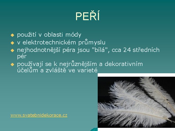 PEŘÍ u u použití v oblasti módy v elektrotechnickém průmyslu nejhodnotnější péra jsou "bílá",