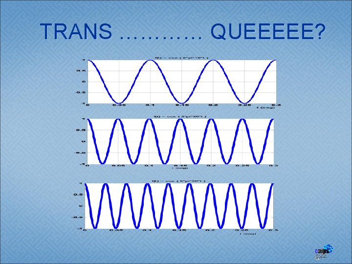 TRANS ………… QUEEEEE? 