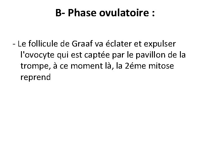 B- Phase ovulatoire : - Le follicule de Graaf va éclater et expulser l'ovocyte