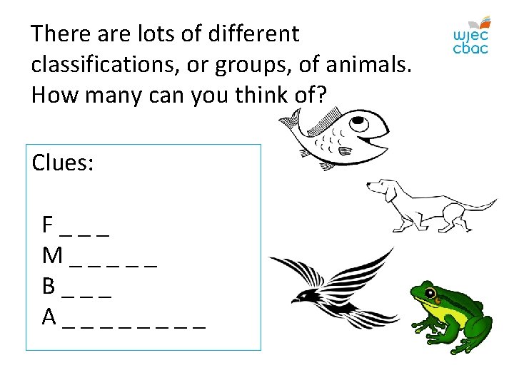  There are lots of different classifications, or groups, of animals. How many can