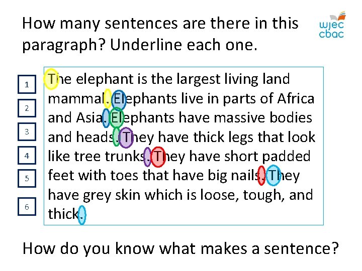 How many sentences are there in this paragraph? Underline each one. 1 2 3