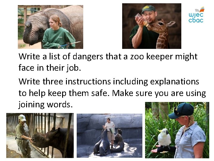 Write a list of dangers that a zoo keeper might face in their job.