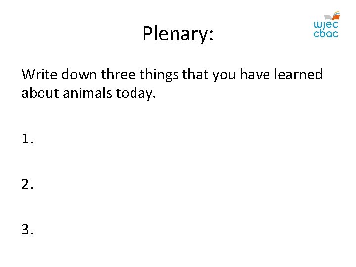  Plenary: Write down three things that you have learned about animals today. 1.