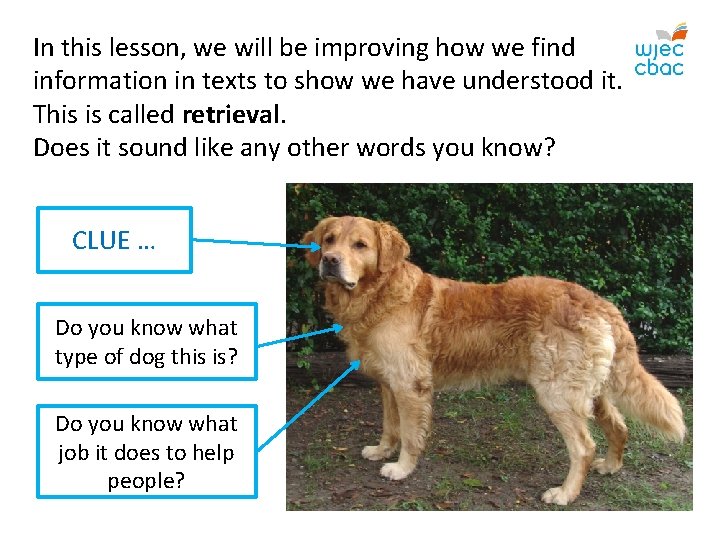 In this lesson, we will be improving how we find information in texts to