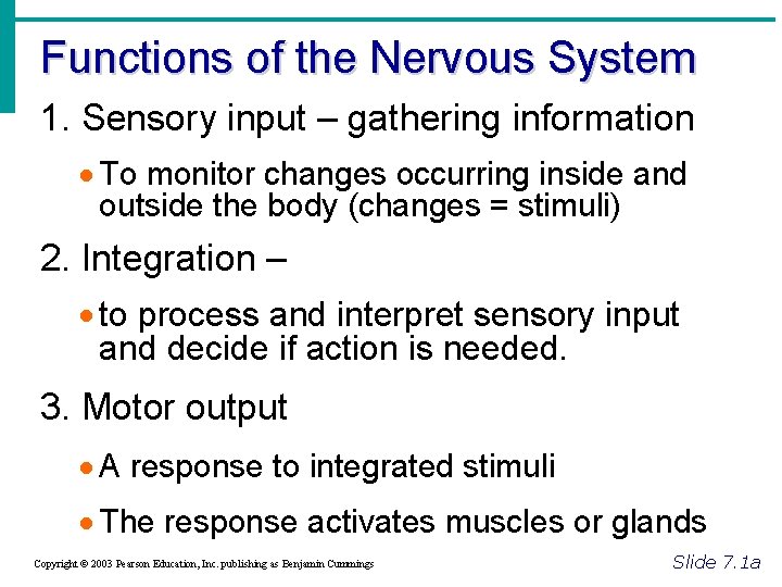 Functions of the Nervous System 1. Sensory input – gathering information · To monitor