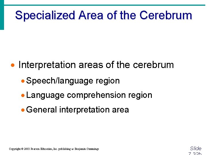 Specialized Area of the Cerebrum · Interpretation areas of the cerebrum · Speech/language region
