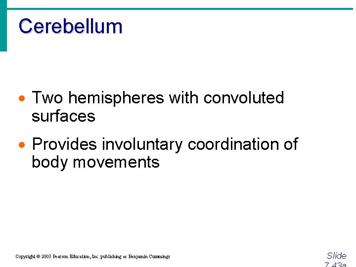 Cerebellum · Two hemispheres with convoluted surfaces · Provides involuntary coordination of body movements