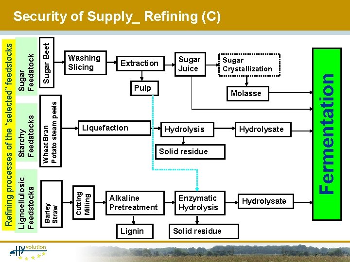 Extraction Sugar Juice Pulp Liquefaction Sugar Crystallization Molasse Hydrolysis Hydrolysate Solid residue Alkaline Pretreatment