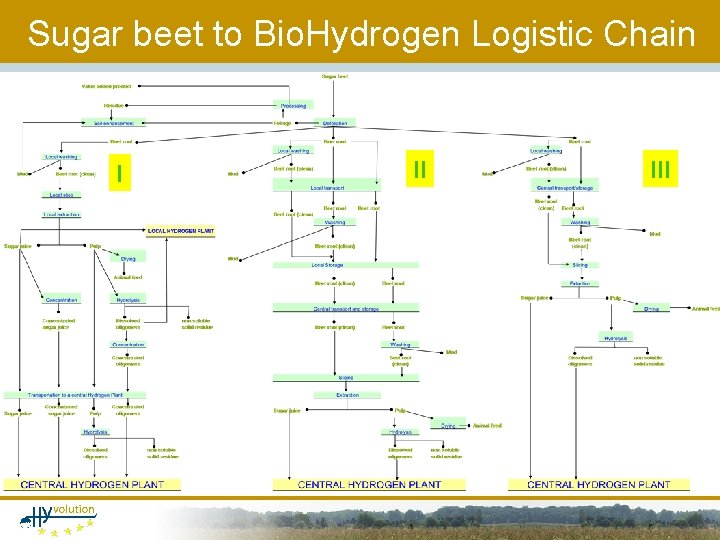 Sugar beet to Bio. Hydrogen Logistic Chain I II III 