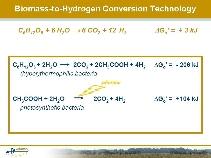 Biomass-to-Hydrogen Conversion Technology 