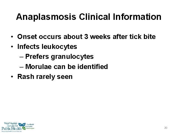 Anaplasmosis Clinical Information • Onset occurs about 3 weeks after tick bite • Infects