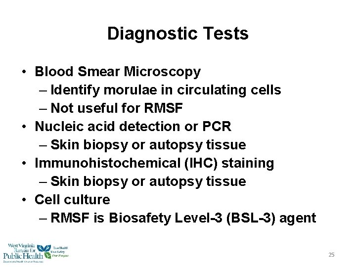 Diagnostic Tests • Blood Smear Microscopy – Identify morulae in circulating cells – Not