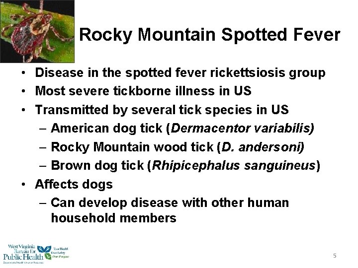 Rocky Mountain Spotted Fever • Disease in the spotted fever rickettsiosis group • Most