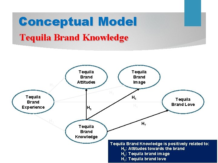 Conceptual Model Tequila Brand Knowledge H 1 Tequila Brand Attitudes Tequila Brand Image H