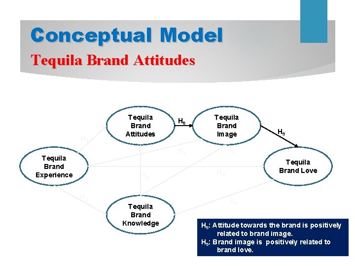 Conceptual Model Tequila Brand Attitudes H 1 Tequila Brand Attitudes H 8 Tequila Brand