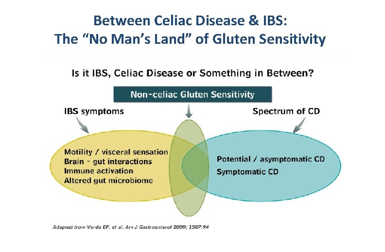 Between Celiac Disease & IBS: The “No Man’s Land” of Gluten Sensitivity 