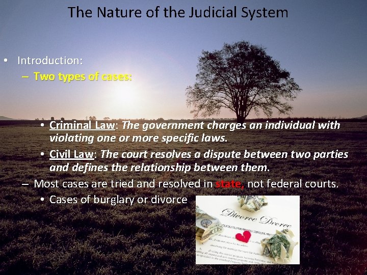 The Nature of the Judicial System • Introduction: – Two types of cases: •