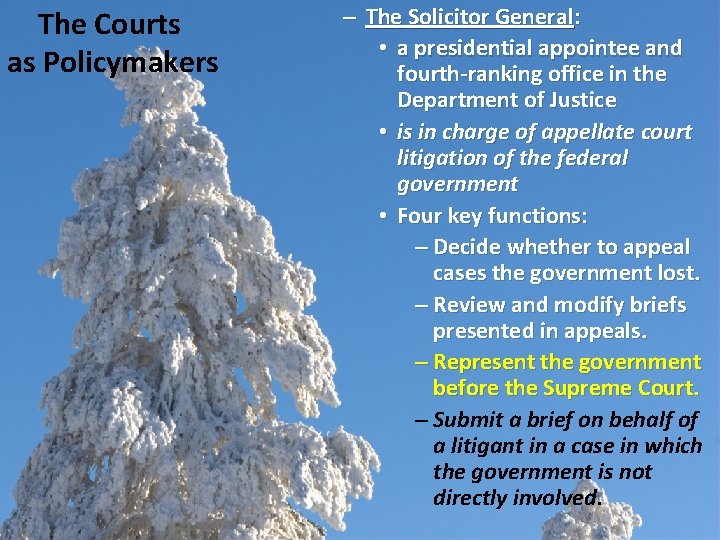 The Courts as Policymakers – The Solicitor General: • a presidential appointee and fourth-ranking