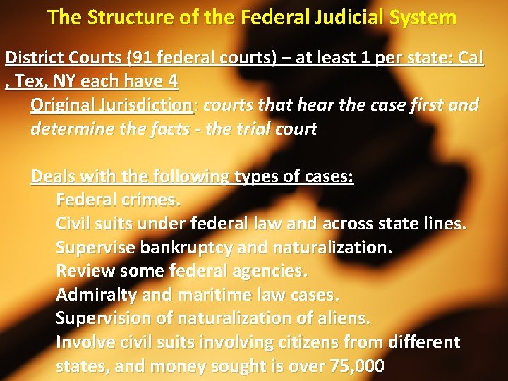 The Structure of the Federal Judicial System District Courts (91 federal courts) – at