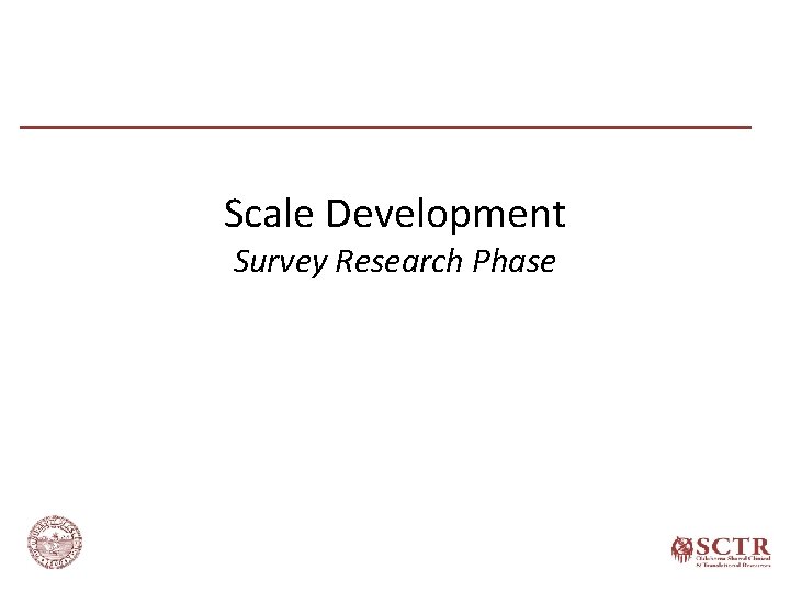 Scale Development Survey Research Phase 