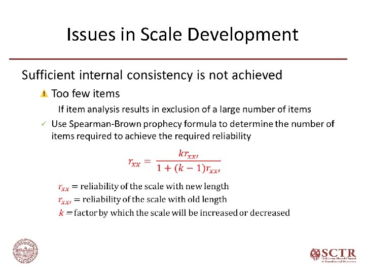 Issues in Scale Development • 