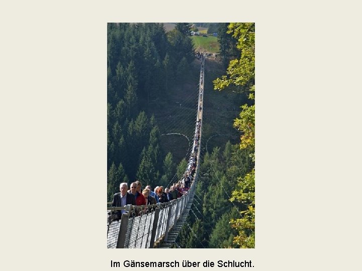 Im Gänsemarsch über die Schlucht. 