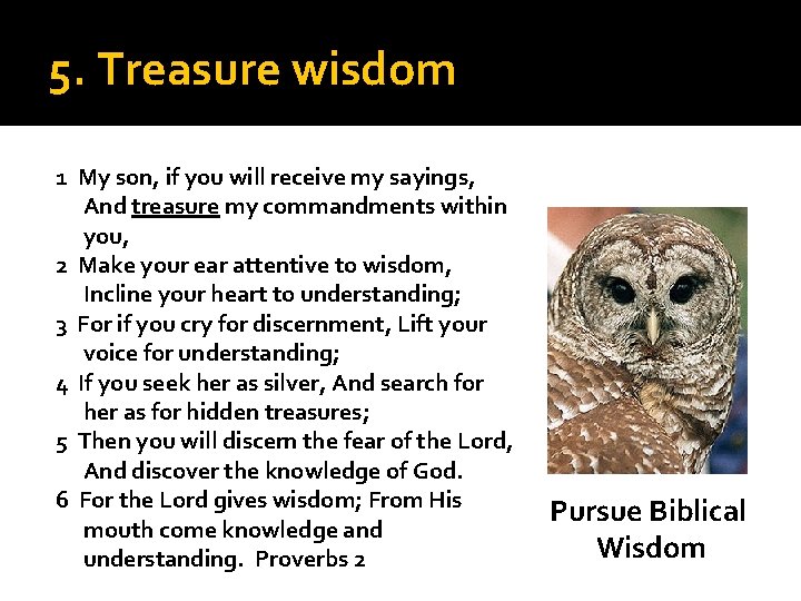 5. Treasure wisdom 1 My son, if you will receive my sayings, And treasure