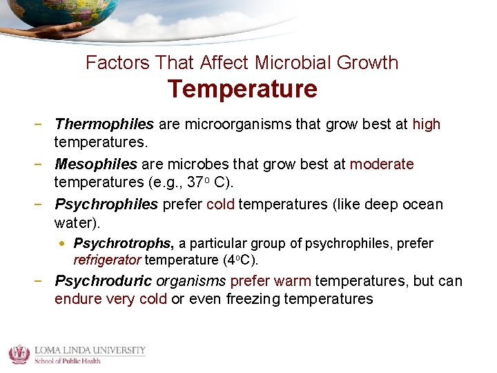 Instructor Bertha EscobarPoni MD Chapter 8 Outline Introduction