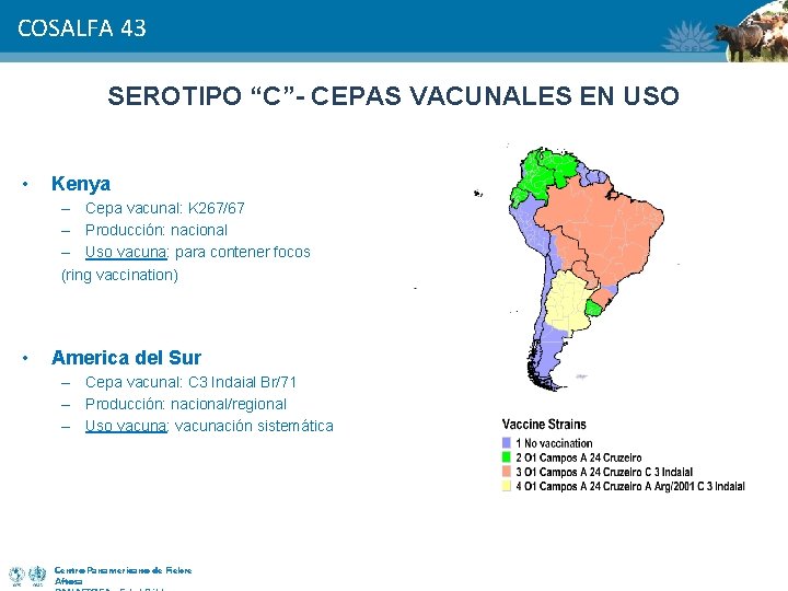 COSALFA 43 SEROTIPO “C”- CEPAS VACUNALES EN USO • Kenya – Cepa vacunal: K