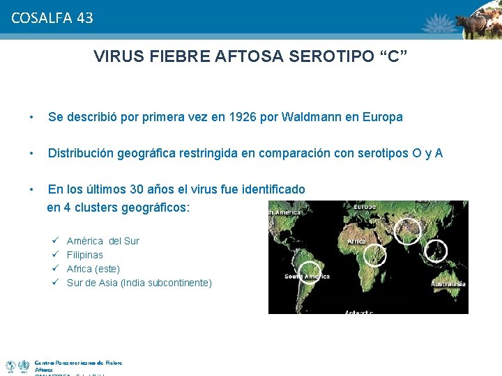 COSALFA 43 VIRUS FIEBRE AFTOSA SEROTIPO “C” • Se describió por primera vez en