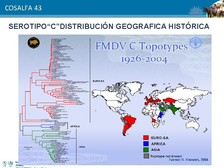 COSALFA 43 SEROTIPO“C”DISTRIBUCIÓN GEOGRAFICA HISTÓRICA Centro Panamericano de Fiebre Aftosa Fuente: N. Knowles, 2008