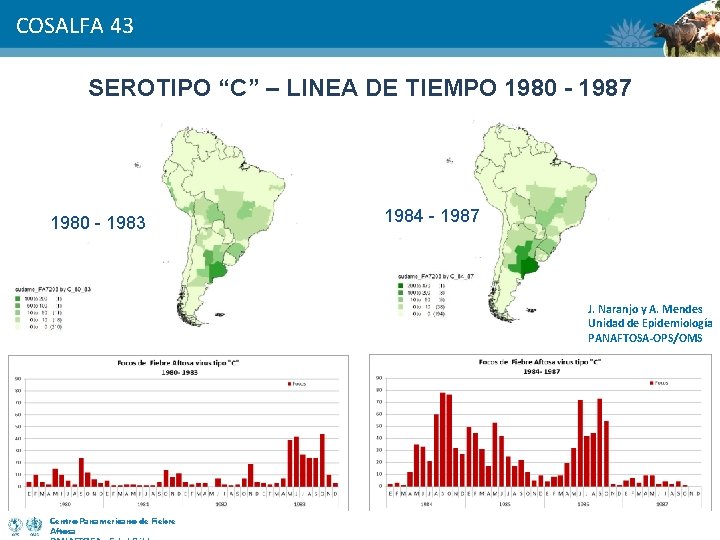 COSALFA 43 SEROTIPO “C” – LINEA DE TIEMPO 1980 - 1987 1980 - 1983