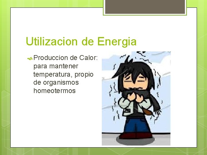 Utilizacion de Energia Produccion de Calor: para mantener temperatura, propio de organismos homeotermos 