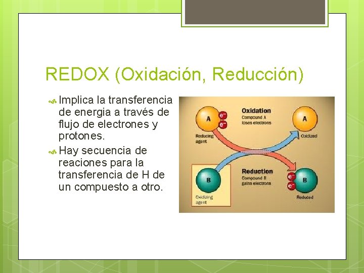 REDOX (Oxidación, Reducción) Implica la transferencia de energia a través de flujo de electrones