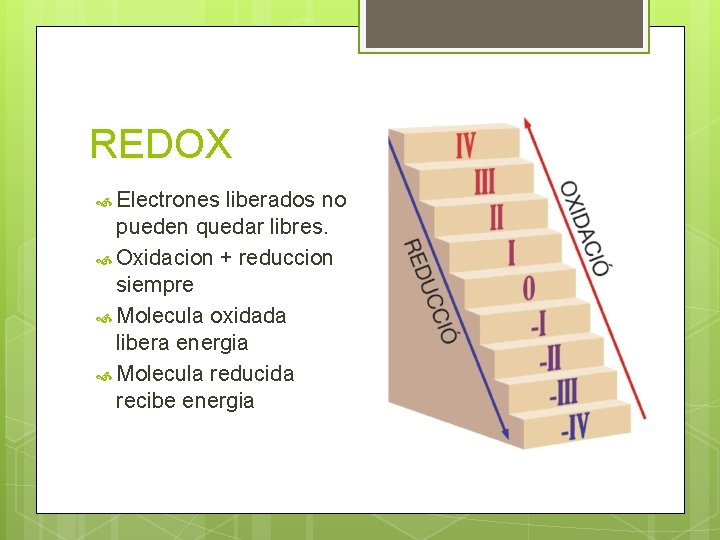 REDOX Electrones liberados no pueden quedar libres. Oxidacion + reduccion siempre Molecula oxidada libera