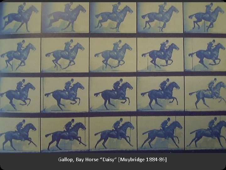 Answer question Gallop, Bay Horse “Daisy” [Muybridge 1884 -86] 