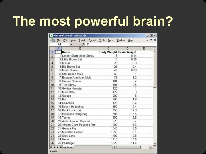 The most powerful brain? 