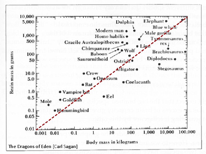 Tell a story: Most powerful brain? The Dragons of Eden [Carl Sagan] 