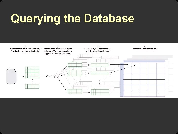 Querying the Database 