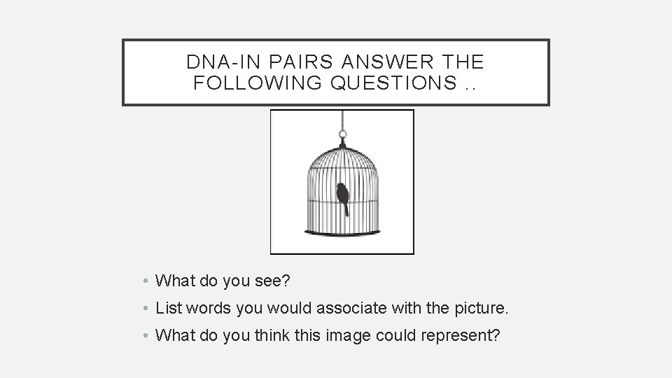 DNA-IN PAIRS ANSWER THE FOLLOWING QUESTIONS. . • What do you see? • List