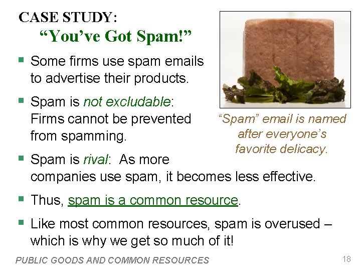 CASE STUDY: “You’ve Got Spam!” § Some firms use spam emails to advertise their