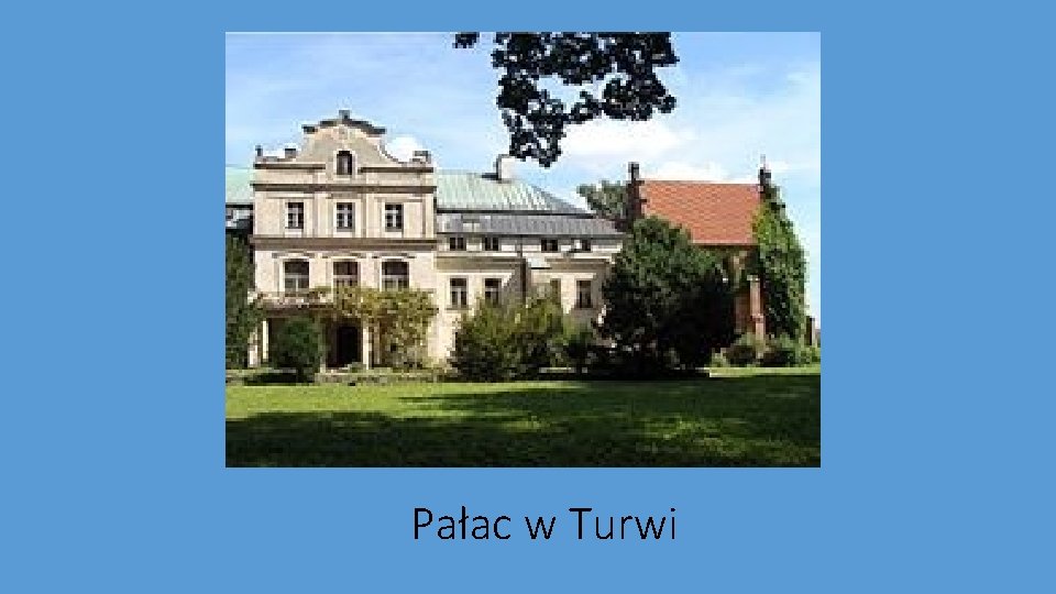 Pałac w Turwi 